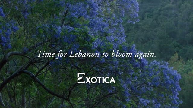 Exotica - Vote