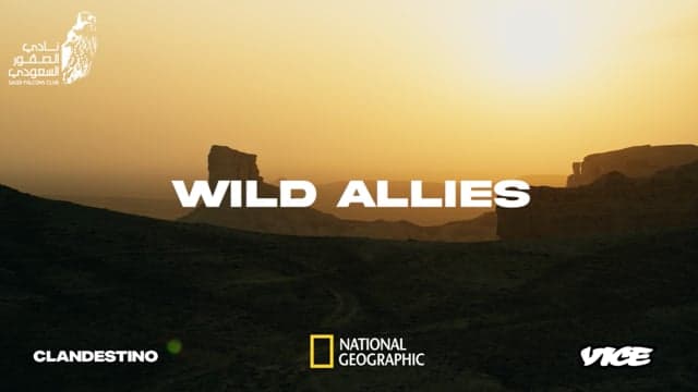 Wild Allies